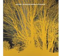 Nada Surf The Stars Are Indifferent to Astronomy (CD) Album (Jewel Case)