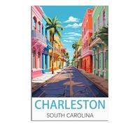 NAEGV Diamond Art Kits for Adults,Charleston South Carolina 5D Full Drill Diamond Painting Craft for Adults Kids Beginners Home Wall Decor Birthday Gift 40x40cm