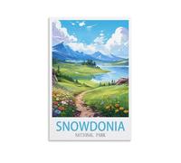 NAEGV Paint by Numbers for Adult Girls，Snowdonia National Park Travel Poster Nature Landscape DIY Oil Painting Acrylic Paints Paint by Numbers for Adults 20x30cm