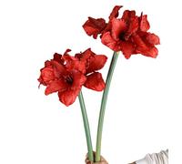 Naeutop 2 Pack 29inch Red Real Touch Artificial Amaryllis Bouquet, Clivia Faux Amaryllis Flower Branches -Long Stem Silk Fire Lily for Wedding, Outdoor, Spring Home Decor,Centerpiece Bouquet