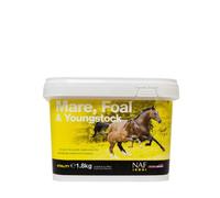 NAF Mare Foal & Youngstock