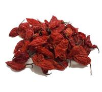 Naga Bhut Jolokia / Ghost Pepper Superhot Chilli - CHILLIESontheWEB 100g
