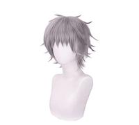 Nagisa Kaworu Anime Cosplay Wig Synthetic Wigs for Halloween Cosplay Party