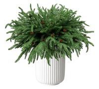Nagoyuki 12 Pcs Artificial Norfolk Pine Branches with Pinecone for Xmas Decor,18 Real Touch Fake Norfolk Pine Stems Frosted Greenery Foliage Sprigs for Christmas Wreath DIY (Green)
