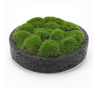 NAHARO Minimalist Moss Bowl-8''Handmade Travertine Artificial Moss Bowl Centerpiece for Modern Home Decor, Living Room, Office, or Coffee Table Display