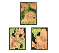 NAHARO Natural Preserved Moss Wall Art - Natural moss&wood Handcrafted Rustic Charm for Your Home- Unique Wall Hanging for Living Room, Bedroom, Office, or Kitchen - No Maintenance