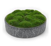 NAHARO New Moss Bowl,11''Handmade Cement Bowl-Artificial Moss Centerpiece for Home Decoration, Living Room, Office, or Coffee Table Display