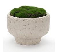 NAHARO New Moss Bowl,6.5''Handmade Cement Bowl-Artificial Moss Centerpiece for Home Decoration, Living Room, Office, or Coffee Table Display