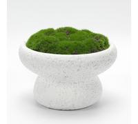 NAHARO New Moss Bowl, 6''Handmade Cement Bowl-Artificial Moss Centerpiece for Home Decoration, Living Room, Office, or Coffee Table Display