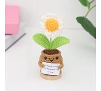 Nahida Handmade Positive Crochet Sunflower, Daisy, Rose, Love, Doll with Card-Thank you Gift for Teachers, Moms,Friendship Gift for Coworkers, Friends, Sisters Birthday Present Idea (Daisy2)