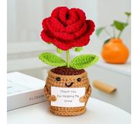 Nahida Handmade Positive Crochet Sunflower, Daisy, Rose, Love, Doll with Card-Thank you Gift for Teachers, Moms,Friendship Gift for Coworkers, Friends, Sisters Birthday Present Idea (Rose3)
