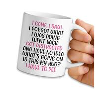 NAHMAKNE Funny Senior Citizens Coffee Mug, I Came I Saw I Forgot What I was Doing, 11oz Ceramic Mug Tea Cup, Humor Birthday Gifts for Old People, Sarcastic Gifts for Elderly Dad Mom Grandpa Grandma