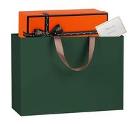 NAHRMY 1 piece Extra Large Gift Bag with Greeting Cards Green 43 x 32 x 13 cm, Large Paper Party Gift Bags for Presents Wedding Birthday Christmas Celebration
