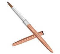 Nail Art Liner Pen Aluminum Brush for Nail Tips Design | Fine Drawing, Pattern Work, Flower Painting, Stylish Practical Tool for Salon Use and DIY at Home