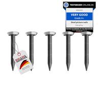 nail Hardened Steel Picture Hanging Nails for Concrete, Brick, Plaster & Wood - Made in Europe (Silver Head, 20 mm)