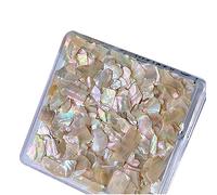 Nail Jewelry Shell Irregular Breakable Abalone Slices Nail Shells Decoration for Tips Jewelry Beauty Decoration Shell Pieces Manicure Tools Decorations for Nails