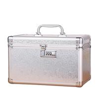 Nail Polish Organizer Bag Beauty Makeup Box Artist Professional Cosmetic Cases Make Up Nail Multilayer Toolbox Storage Organizer Suitcase Bag for Nail Polish Bottles Nail Lamp(Silver)