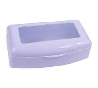 Nail Tool Sterilizer Box, Nail Tool Disinfection Box, Sterilizing Tray, Nail Tool Disinfecting Container, Nail Tools