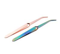 Nail Tweezers Nail Art Tweezers Set Stainless Steel Tip C Curve Pinchers Sculpture Clip Manicure Pointed Slant Tool for Nail Art 2PCS