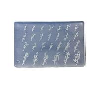 Nails Art Silicone Mold Flower Theme Manicure Training Tool Professional Manicure Supplies Perfect for Various Occasion Silicone Nail Stamp Mold