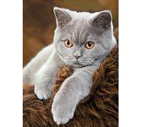 NAIMOER Cat Diamond Painting Kits for Adults, Diamond Painting Grey Cat Full Drill 5D Diamond Art Kits for Kids Rhinestone Embroidery for Wall Home Decor 12x16inch