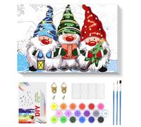 NAIMOER Christmas Paint by Numbers with Frame for Adults Kids, DIY Gnomes Paint by Numbers for Age 6-12, Art on Canvas Gifts Home Wall Decor 8x12in