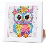 NAIMOER Owl Diamond Art Painting Kits for Adults with Frame, Diamond Art Kids Animals Crafts for Ages 4-6-8-12, Easy to DIY Gem Painting Gifts Home Wall Deco 18x18cm (Beautiful Packages)