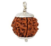 NAISHA 7 Mukhi Rudraksha Bead Necklace, 100% Certified & Original Seven-Faced Rudraksha Seed, Adult Unisex Spiritual Necklace, Brass, Black Bead