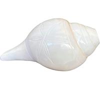 NAISHA Blowing Shankh for Pooja - Blowable Conch Shell - Energized Abhimantrit Dakshinavarti Valampuri Sangu Vamavarti Dattatreya - Ritual Puja Shankhnaad Laxmi Shankh for Temple(5.2-5.5 inch)