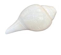 NAISHA Blowing Shankh for Pooja - Blowable Conch Shell - Energized Abhimantrit Dakshinavarti Valampuri Sangu Vamavarti Dattatreya - Ritual Puja Shankhnaad Laxmi Shankh for Temple (4.5-5 Inch)