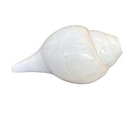 NAISHA Blowing Shankh for Pooja Blowable Conch Shell I Energized Abhimantrit Dakshinavarti Valampuri Sangu Vamavarti Dattatreya - Ritual Puja Shankhnaad for Temple (4-4.5 Inch)