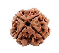 Naisha Nepali Rudraksha 2, 3, 4, 5, 6 & 7 Mukhi Faced Panch Dhatu Chakra Spiritual and Healing Beads 100% Original & Certified Pendant Handmade Jewelry for Men and Women., Wood, bead
