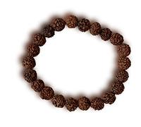 NAISHA Rudraksha & Crystal Sphatik Bead Bracelet, & Natural Himalaya Rudraksh Seed Bracelets, L, Rudraksha, Wood, rudraksha