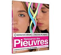 Naissance des pieuvres