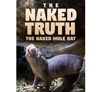 Naked Mole Rats