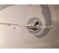 Naked Music NYC - If I Fall [12" VINYL]