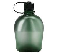 Nalgene Everyday Oasis grey/green bottle