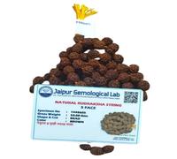 Naman Rudraksha Mala for Men, 108 Beads Original Panchmukhi Rudraksha Japa Mala - AAA Grade 5 Mukhi Rudraksha Mala for Protection, Meditation and Yoga.Certified Certificate