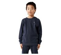 NAME IT Boy's Nkmvimo Ls Sweat Bru Noos Sweatshirt, Dark Sapphire, 146-152