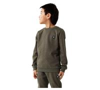 NAME IT Boys Nkmvimo LS Sweat Bru Noos Sweatshirt, Rifle Green, 116
