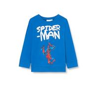 NAME IT NMMMATIAS SPIDER SWEAT UNB MAR Sweatshirt,