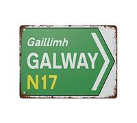 NAMEY Irish Road Signs,Creative Tin Sign Skeleton, Funny Novelty Metal Sign, Vintage Wall Decor for Home Door Garden Bar Restaurant Cafe Office Shop Bar Club Sign Gift 12 x 16 Inch