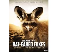 Namibia's Bat-Eared Foxes