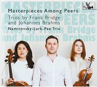Namirovsky-Lark-Pae Trio - Trios By Frank Bridge & Johannes Brahms