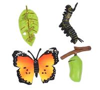 NAMOARLY 3Sets Butterfly Life Cycle Evolution Model Cognitive for Educational Simulation Figures to Explore Growth and Development Nature