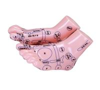 NAMOARLY Acupuncture Foot Display Model 1 Pair Human Foot Simulation for Reflexology Training and Clinical Use Practical Massage Tool for TCM Students