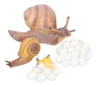 NAMOARLY Animal Growth Cycle Model for Realistic Snail Life Stages Figurines Educational Cognitive for Boys and Montessori Early Learning Gift for Storytelling and Science Activities