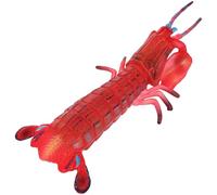 NAMOARLY Educational Plastic Animal Model, Wear-Resistant Pipi Shrimp Sensory Learning for, Compact ’S Biology Playset for Early Science Exploration