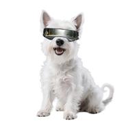 NAMSAN Dog Goggles Small Breed, Anti-UV Sunglasses for Dogs Small Breeds, Driving Dog Eye Protection, Windproof Doggie Glasses with Elastic Straps, Easy Put-on/Adjustable, Silver Lens