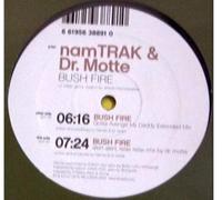 Namtrak & Dr Motte - Bush Fire [12" VINYL]